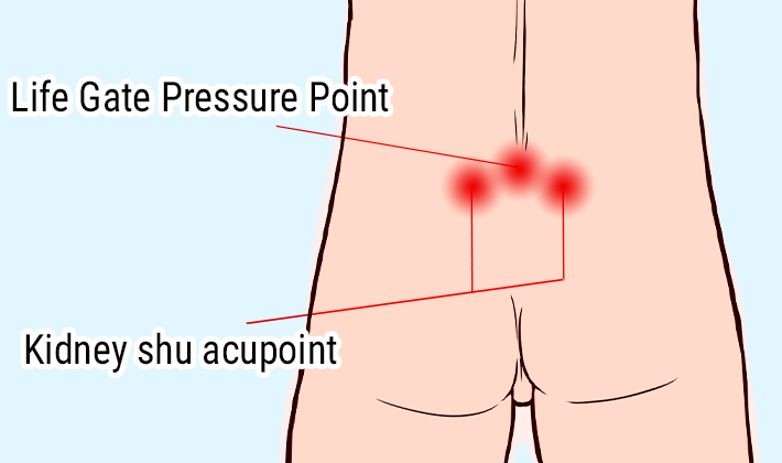 Life Gate Pressure Point,Kidney shu acupoint