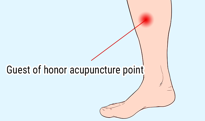 Guest of honor acupuncture point