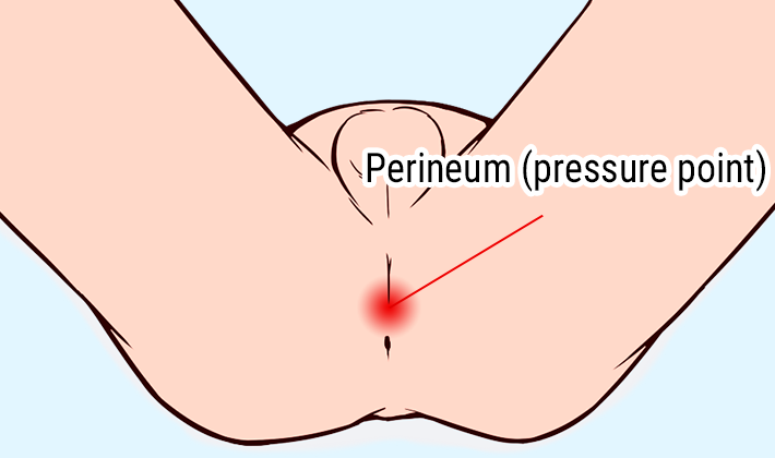 Perineum (pressure point)