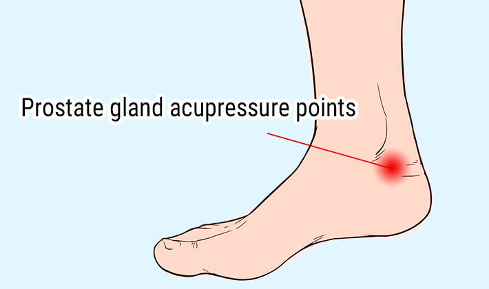 Prostate gland acupressure points