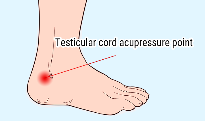 Testicular cord acupressure point