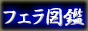 フェラチオ&フェラ図鑑